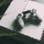 Key Trends Developing in Global Equity Markets