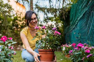 Gardening expert issues alert for anyone with plant pots and containers ahead of rainfall