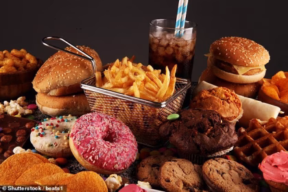 Just four days of eating junk food can impact your brain health and could lead to dementia, study warns