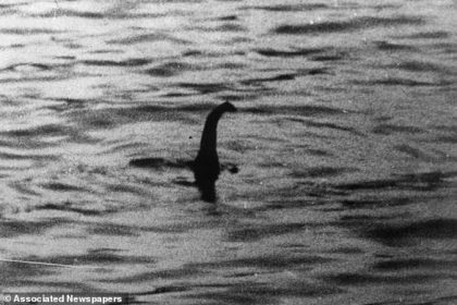 Loch Ness Monster hunter is stunned as a creature ‘as big as three men’ emerges from the deep