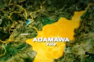 NTJF Condemns Waste Of Public Resources