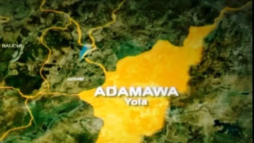 NTJF Condemns Waste Of Public Resources