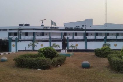 Edo Assembly rejects ex-lawmaker as commissioner over DSS petition | The Guardian Nigeria News