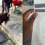Man shares receipts after spending N316K on medications for goat