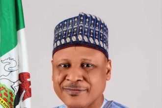 Nigeria At 65: Our Devt Agenda All-Inclusive, People-Centred