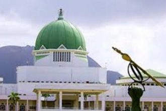 Is N’Assembly Embarking on Another Futile Exercise? – THISDAYLIVE