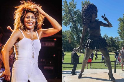 Tina Turner Fans Blast New Statue Erected to Honor Late Singer
