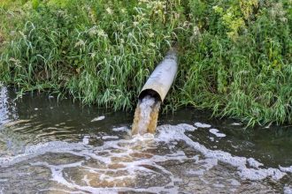World Rivers Day: Ogun-Osun River Basin calls for action against pollution