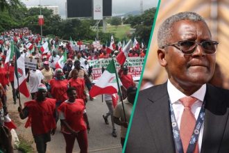 Dangote Defends Workers Sack as NLC Mobilises for Strike, Court Takes Action
