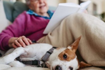 Dog owners need to know nine ‘severe’ illness symptoms