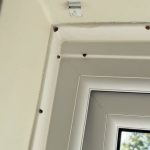 ‘My house is invaded by ladybirds every year – I’m absolutely petrified by them’