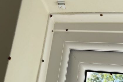 ‘My house is invaded by ladybirds every year – I’m absolutely petrified by them’