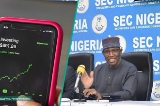 SEC Declares Another Popular Investment Scheme a Ponzi, Warns Nigerians