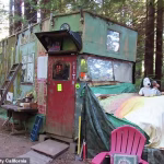 ‘Dirty hippies’ lose 25-year battle to save their homes after their community was deemed a 12-acre bio-hazard