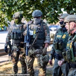 Federal agents shoot armed woman after patrol was ‘rammed by 10 cars’ on Chicago’s South Side