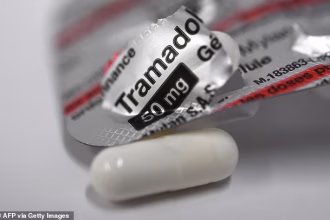 Painkiller prescribed to millions ‘not that effective’ for chronic pain