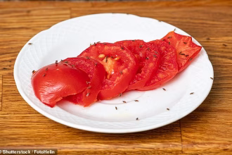 Warning to Brits over an infestation of FRUIT FLIES: Disgusted homeowners say insects are swarming their kitchens – here’s how to get rid of them once and for all