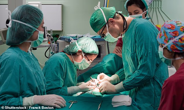 World’s first pig-to-human liver transplant gives new hope to 1000’s on organ ready lists