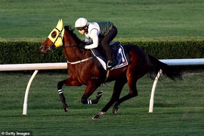 The 2025 Everest recap: Brilliant Hong Kong sprinter Ka Ying Rising blitzes the field in front of 50,000 eager punters at Royal Randwick