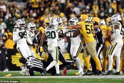 NFL referee wiped out in wild mass on-field brawl as Packers-Steelers turns heated
