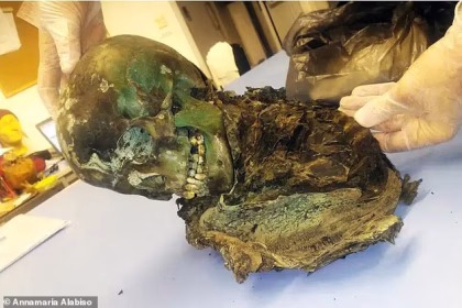 Unravelling the mystery of the GREEN mummy: Mummified corpse turned bright emerald after being held in a copper box, study reveals