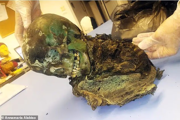 Unravelling the mystery of the GREEN mummy: Mummified corpse turned bright emerald after being held in a copper box, study reveals