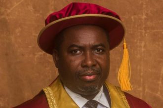 Tasks before new INEC chairman