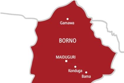 Troops ambush Boko Haram logistics team in Gwoza, kill two insurgents