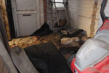 Cruel mum and daughter starved seriously ill pet dogs and locked them in squalor