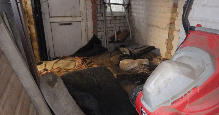 Cruel mum and daughter starved seriously ill pet dogs and locked them in squalor