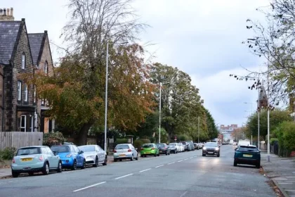 Stranger jumps in woman's car and stabs man in back seat in 'horror movie' attack