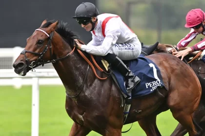 Punter turns £10 bet into nearly £50,000 with ‘sensational’ each way accumulator