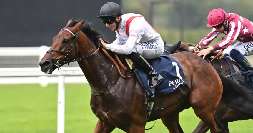 Punter turns £10 bet into nearly £50,000 with ‘sensational’ each way accumulator