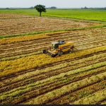 SAPZ strengthens 1,445 Kano households with toolkits for gardening