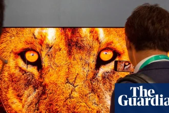 Ultra-HD televisions not noticeably better for typical viewer, scientists say | Television