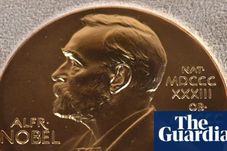 All the news and science from the 2025 Nobel prizes – podcast | Science