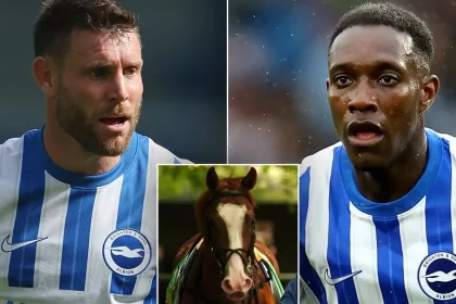 James Milner and Danny Welbeck’s racehorse set for ‘extremely rare’ £5million race