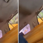 Widow Locked in Late Husband’s Ambulance, Forced to Drink Bath Water in Imo Community — Akelicious