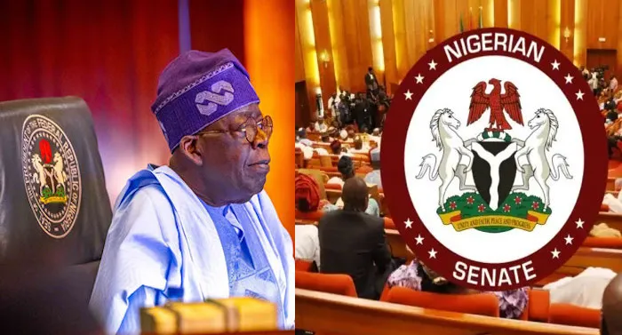 President Tinubu Writes Senate, Requests Confirmation of New Service Chiefs — Akelicious