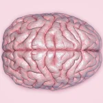 PT Health Watch: How life conditions shape Mental Health