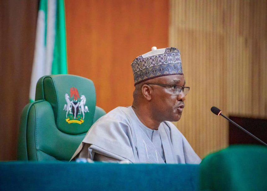 Nigeria nears diaspora voting as Reps, NiDCOM launch digital response system