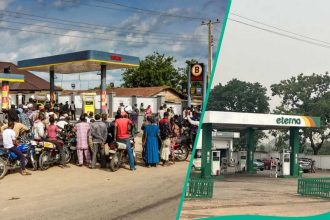 Petrol Prices May Tumble: Four Marketers Import Fuel to Challenge Dangote Refinery Dominance