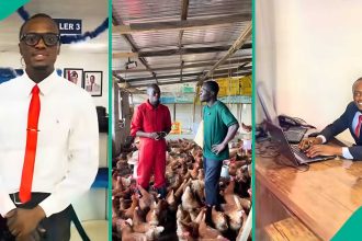 “Inspiring Story.” Man Dumps ₦75k Bank Job, Shares Secret as He Makes Millions from Poultry Farming