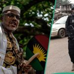 Nnamdi Kanu: Tension as Clash Erupts in National Assembly