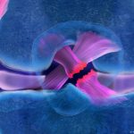 What you need to know – DW – 10/21/2025