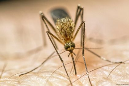 How climate change is making us sick – DW – 10/29/2025