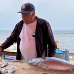 Unwanted travelers on international ships – DW – 10/22/2025