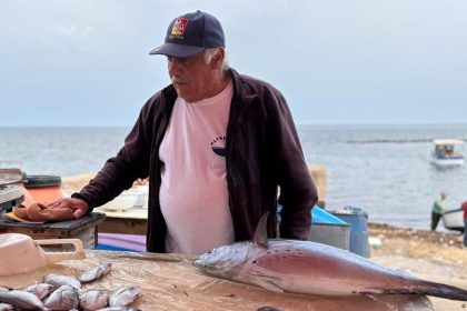 Unwanted travelers on international ships – DW – 10/22/2025