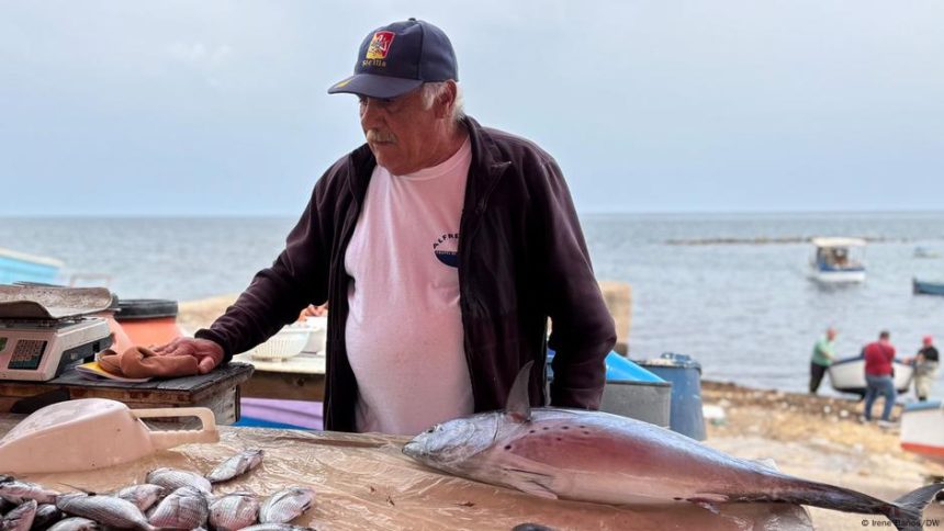 Unwanted travelers on international ships – DW – 10/22/2025