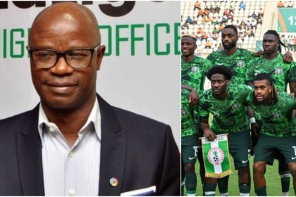 The games we failed to win — Adepoju opens up on Super Eagles World Cup chances